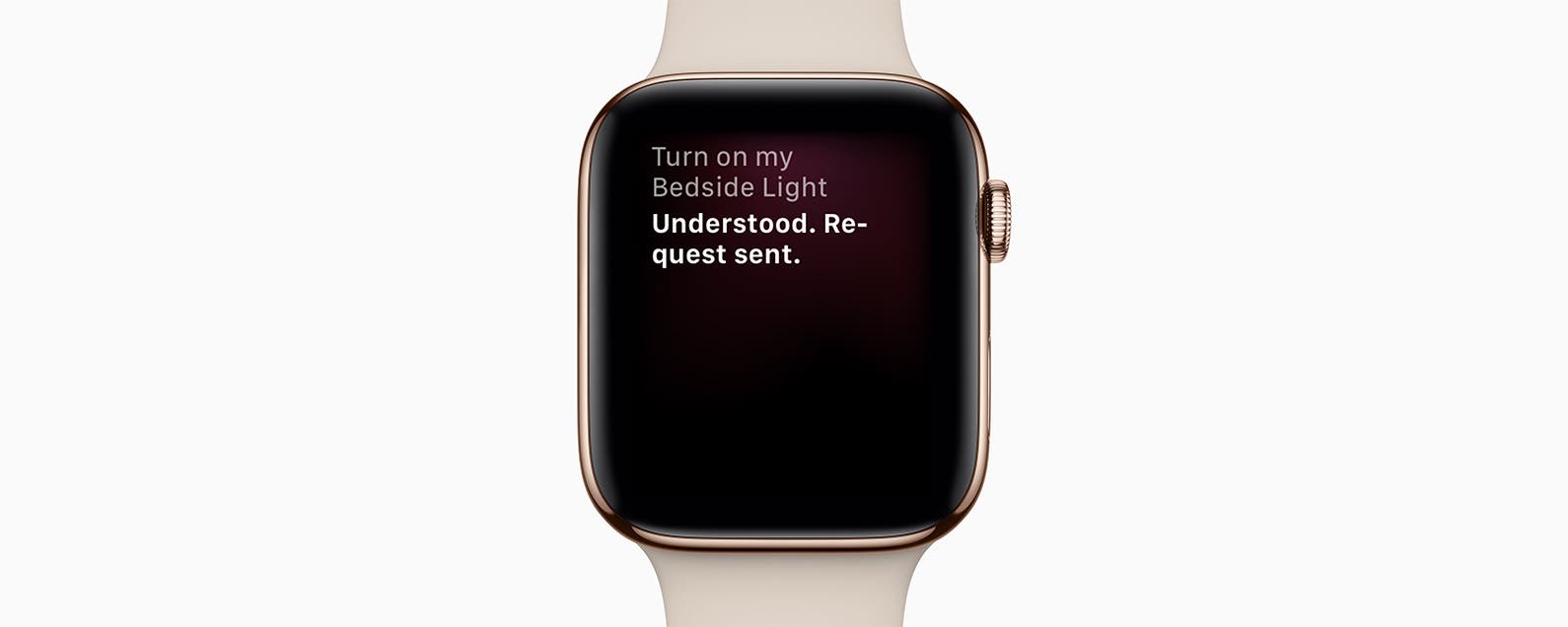 How to Use Apple Watch Raise to Speak for Siri (2022 Update)